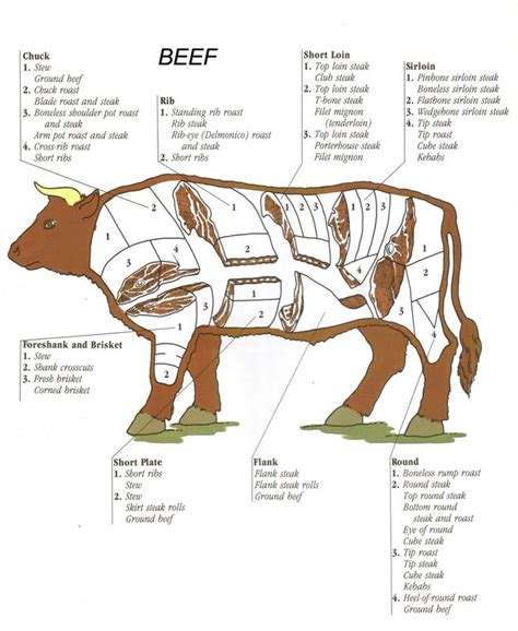 Image result for Full Beef Processing Chart