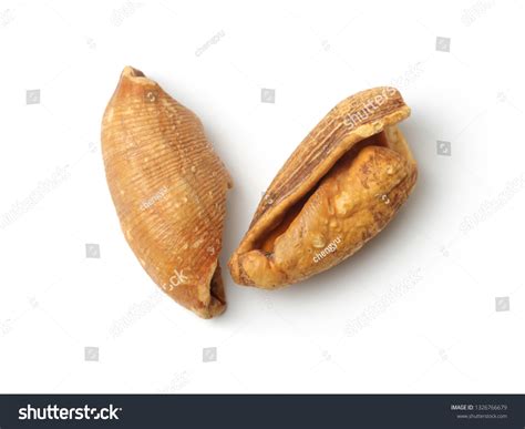 Clam Shell Pattern 的图像结果