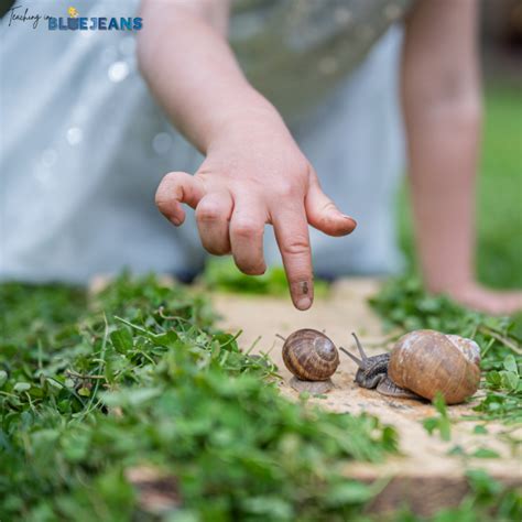 Image result for Kids Program About Spring