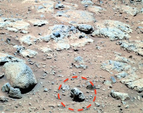 Image result for Alien Skull On Mars