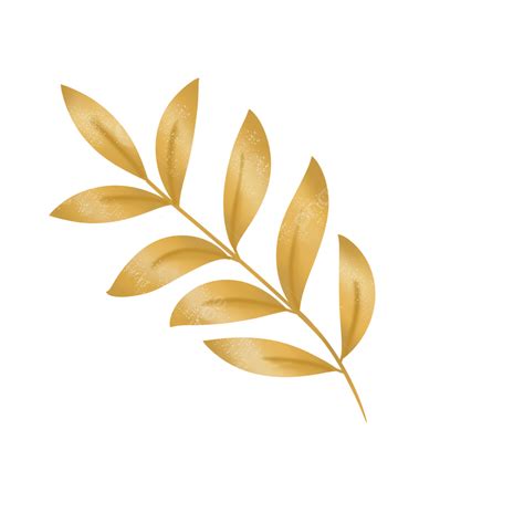 Gold Leaf PNG Transparent Images