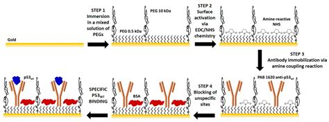A Reliable BioFET Immunosensor for Detection of p53 Tumour Suppressor ...