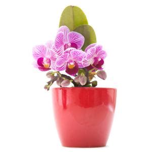 Pokloni za žene u 20-tim – M stil