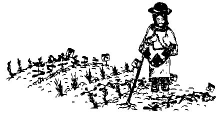 Capitulo uno: Introducción