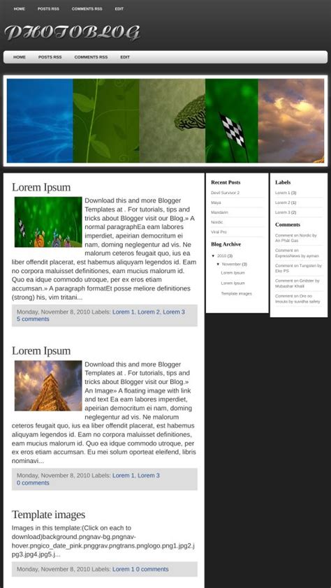 Image result for Blogger. Sample