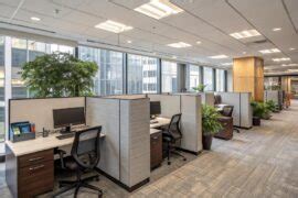 13+ Clever Cubicle Privacy Ideas for Your Workspace