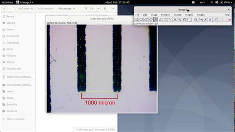 Image result for ImageJ Tutorial Length