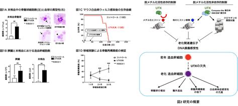 Image result for Problem Formulation Slide