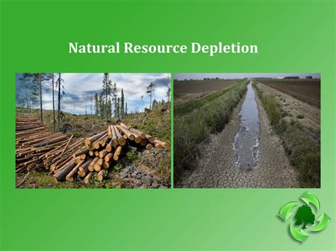 For Natural Resources The Depletion Base Is | Detroit Chinatown