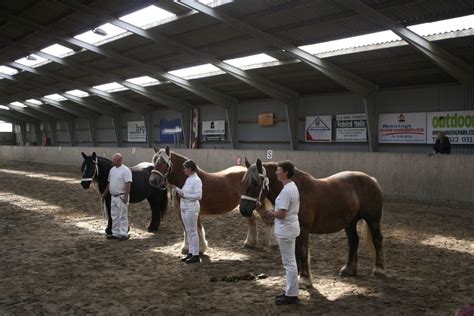 KLARGØRING TIL DYRESKUE, Fittingvej 21 Fitting , 6623 Vorbasse, Denmark ...