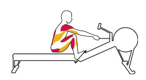 Image result for Rowing Machine Work Core