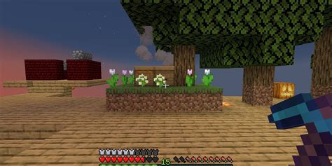 Image result for Skip the Tutorial One Block Skyblock