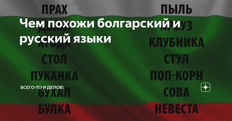 Чем похожи болгарский и русский языки | Всего-то и делов! | Дзен
