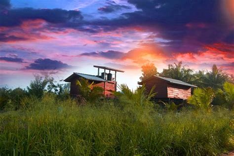 SIGIRI SARILCO ROCK VIEW TREEHOUSE (Sigiriya) - Lodge Reviews, Photos ...