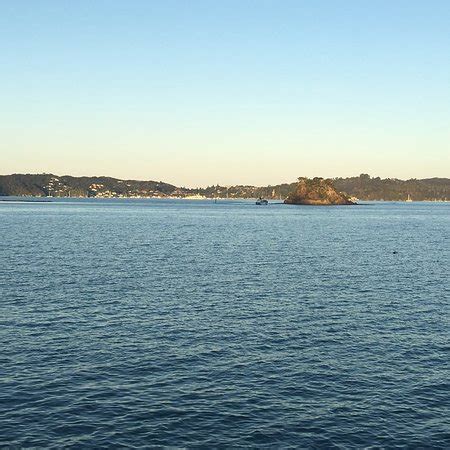 Paihia Harbour - UPDATED 2019 What to Know Before You Go (with Photos ...