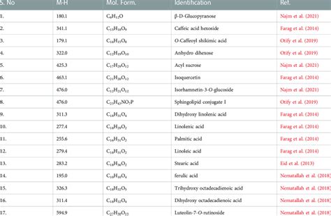 Image result for Common Language Runtime .Net User Interface