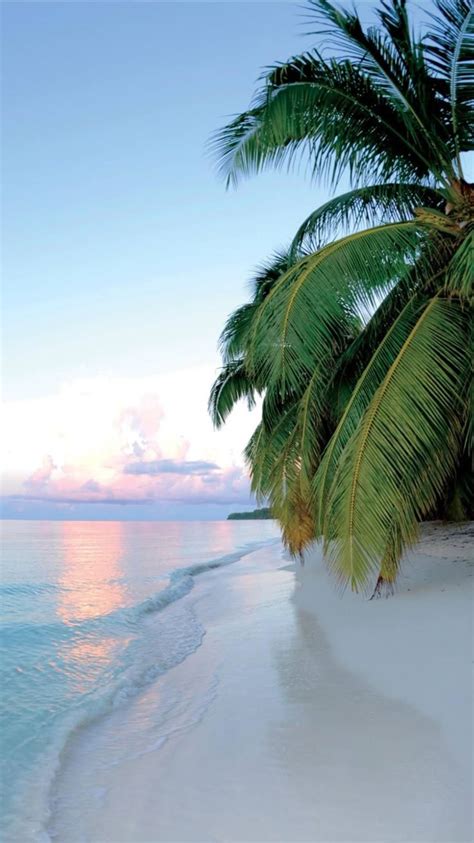 Travel Aesthetic Images 的图像结果