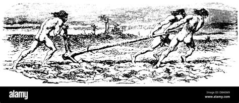 Agriculture Revolution 的图像结果