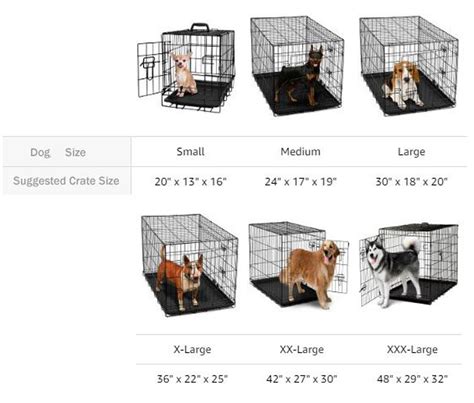 It's a Dog's World: How to Select the Best Size Dog Crate