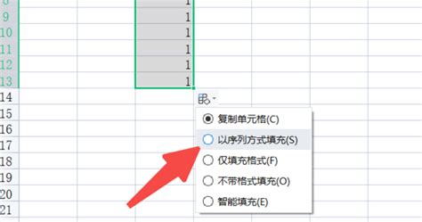 Excel的序号添加与自动排序方法详解