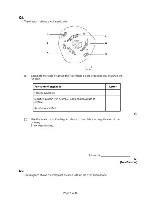 Biology 101: Cell Structure Test - Eukaryotic & Prokaryotic Cells - Studocu
