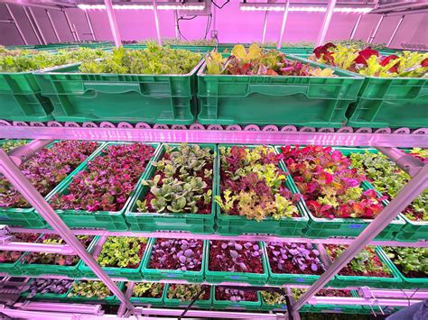 Local Farms 的图像结果