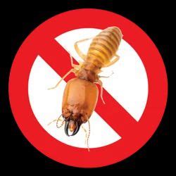 Pest Control Service and Fly Catcher Machine Wholesale Trader | Anwesha ...