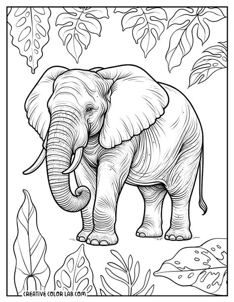 Printable Elephant Coloring Pages | Free PDFs to Download