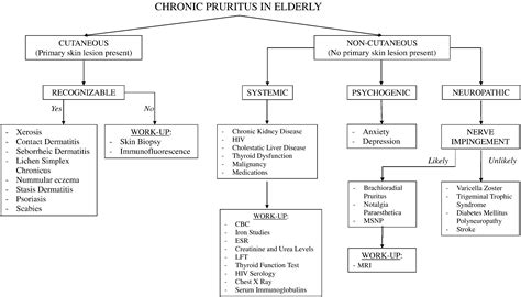 Causes, pathophysiology, and treatment of pruritus in the mature patient - Clinics in Dermatology