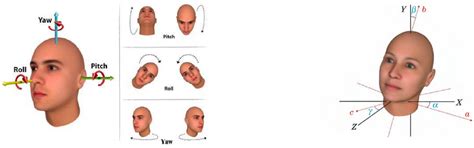 Measurement Method of Interpupillary Distance and Pupil Height Based on ...