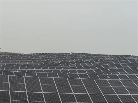 Shree Cement Expands Solar Capacity with Chitrakoot Project