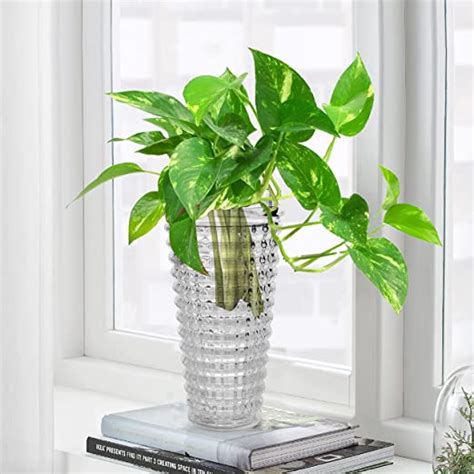 Pure Source India Glass Round Rib Flower Vase | Money Plant Pot ...
