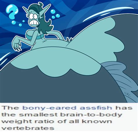 Bony Eared (Hyper)Assfish by HauntedCactus on DeviantArt