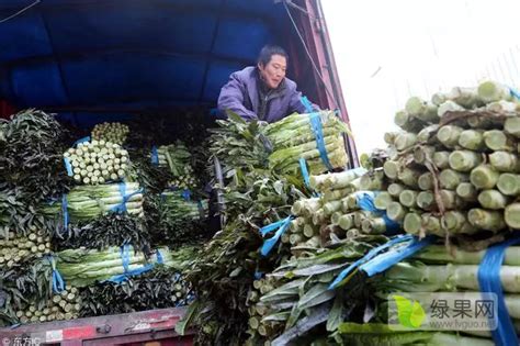 买汰烧|今日农贸市场13个蔬菜品种均价3涨9跌1平 - 周到上海