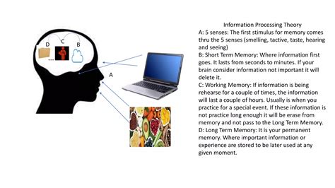 Information Processing Theory Model 的图像结果