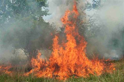 Image result for Spring Break Fire