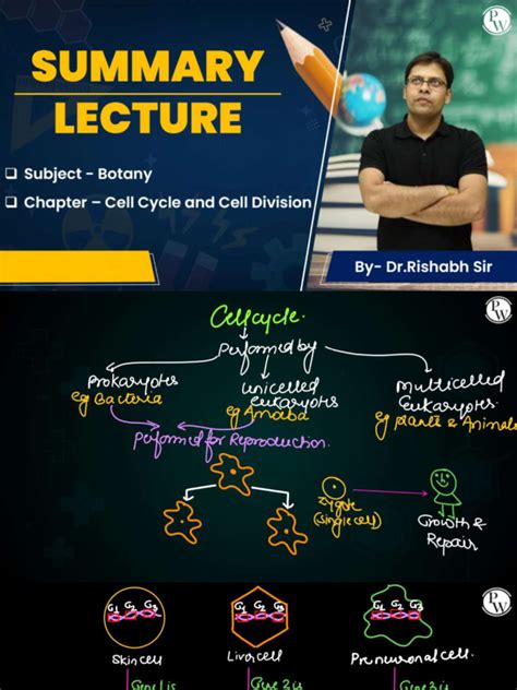 Cell Cycle and Division Notes 的图像结果