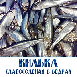 КИЛЬКА В ВЕДРАХ - Оптовая продажа рыбы по Московской области и ...