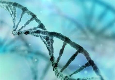 Molecular Bios Service