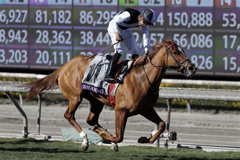 Raymond Report Aqueduct Park Free Horse Racing Picks (1/8/21) | Sports ...
