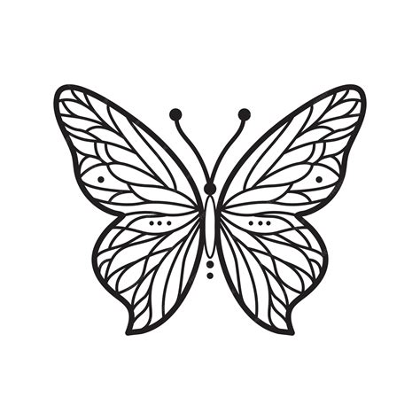 Premium Vector | Butterfly Outline Drawing
