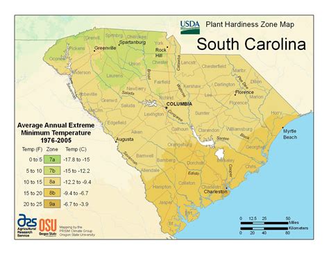 Plant Hardiness Zones | The How Do Gardener