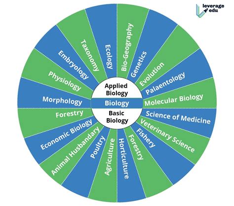 Types Of Biology Careers - jobs for biology majors
