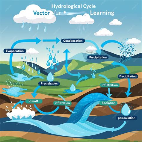 The hydrological cycle process visually for learning course water ...