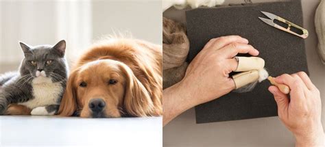 Felting a Cat 的图像结果