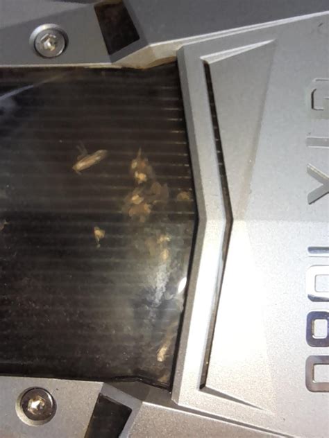 Image result for GPU Debug Mode