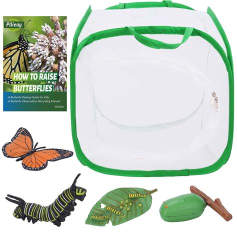 Buy Pllieay 5PCS Butterfly Life Cycle Kit, Monarch Butterfly Kit with ...