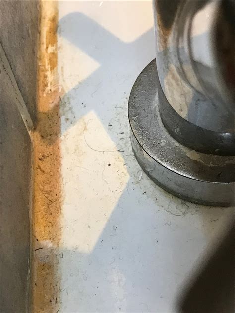 BEX ROOMS (Worthing) - Lodge Reviews, Photos, Rate Comparison - Tripadvisor