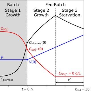 Image result for Formulation Development pDNA