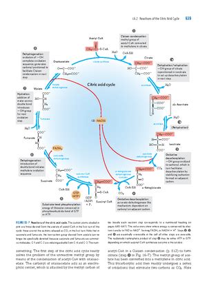 Lab manual cs 2019 - BIOINFORMATICS For Beginners LABORATORY MANUAL DBT ...